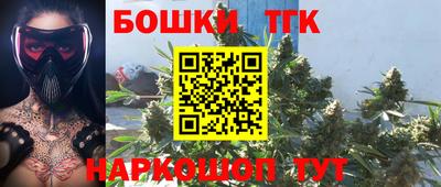 индика Будённовск