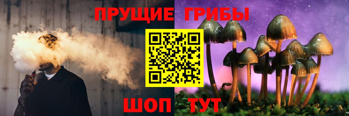 Галлюциногенные грибы Psilocybe Красноуфимск